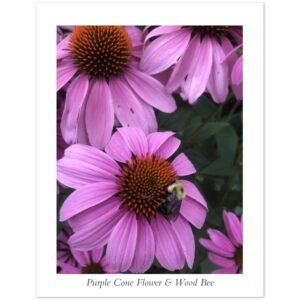 028946f1-4731-4852-97bd-b08ae201ef39