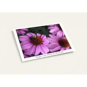 118025a7-3a17-4380-bad3-143fefa34f75