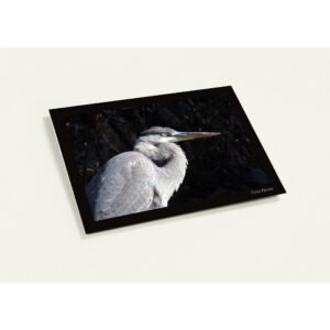 2cf6b3a3-75ad-479b-9b0a-c543f0c22c8f