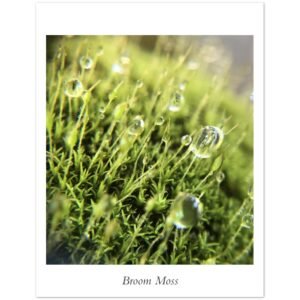 69e365df-a2a8-4929-a350-a44f8b4a7c48