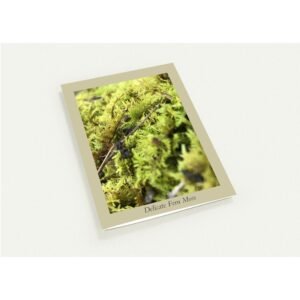 9e1fcda4-b640-431a-8926-6b811dd7d43b